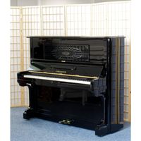 C. Bechstein Klavier 129 cm, Generalrep, Video, Lieferung Thüringen - Jena Vorschau