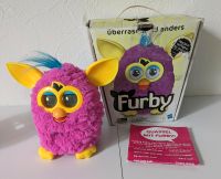 Furby 2013 in sehr guten Zustand Nordrhein-Westfalen - Delbrück Vorschau