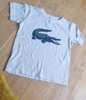 Lacoste Jungen Tshirt Berlin - Pankow Vorschau