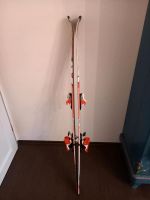 Skier/ Ski - XT Team Jr Series Tecno Pro - 140 cm - mit Bindung Dresden - Dresden-Plauen Vorschau