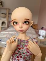 Minifee Ante fairyland bjd Kopf faceup Nordrhein-Westfalen - Kempen Vorschau