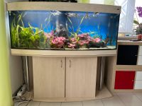 Aquarium mit Unterschrank Bayern - Maxhütte-Haidhof Vorschau