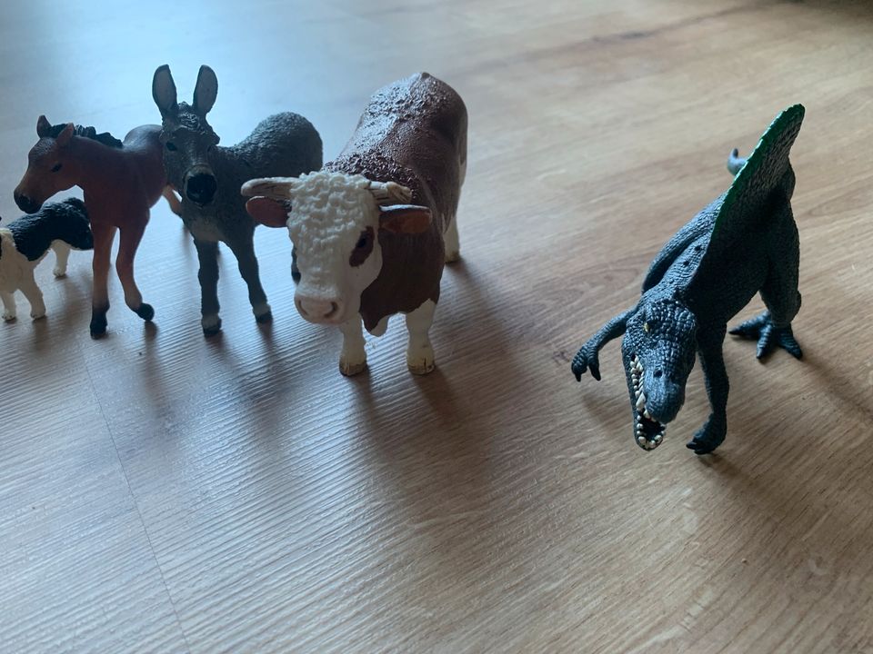 Schleich Tiere Sammlung Ochse Dino Esel Fohlen Hund Katzen Geflüg in Wuppertal