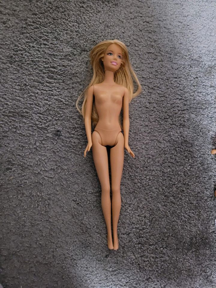 Barbie Himmelbett mit Puppe und Zubehör Bett Schlafzimmer in Wilster