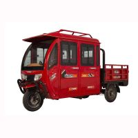 Elektro Cargo Doppelkabine DOKA Premium PLUS 2 Sitzer Kipper Pritsche AMR Runner Cabin Mega VOLTA Grand Extra Frosch Elektrofrosch Laubfrosch Trivelo 3Rad 3 Rad Lastenrad Lastendreirad Porter Piaggio Müritz - Landkreis - Waren (Müritz) Vorschau