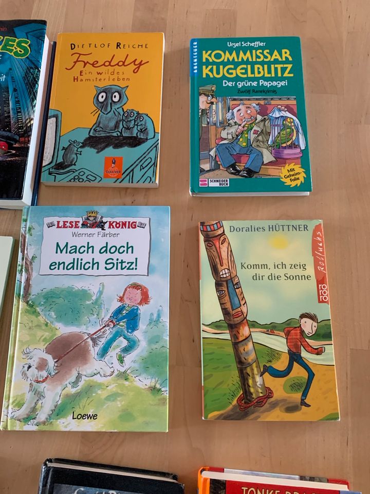 Kinderbücher Buchpaket in Großenlüder