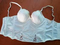 Lingerie Corsage Corset BH 75B Weiß Rosa Rosen Niedersachsen - Verden Vorschau