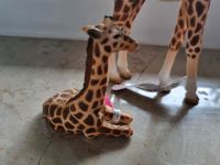 Bullyland Giraffe mit Baby neu Essen - Steele Vorschau