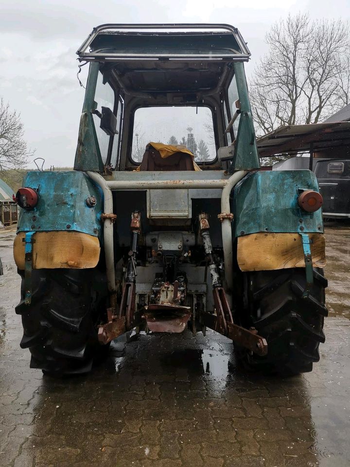 Fortschritt ZT 303 Trecker Traktor in Reinfeld