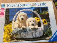 Ravensburger Puzzle 1000 Teile Hundebabys Hundewelpen Essen - Essen-Katernberg Vorschau