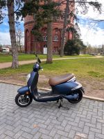Elektro Motorroller Simple eScooter - Grace mit Boschmotor 45km/h Schleswig-Holstein - Lübeck Vorschau