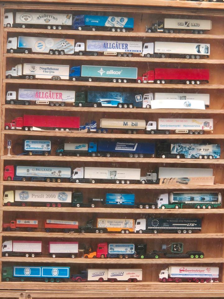 Modellautos 1:87 Trucks in München