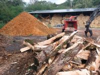 Hackschnitzel Laubholz oder Nadelholz alternative zu Rindenmulch Brandenburg - Luckenwalde Vorschau