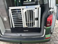 Hundetransportbox passend für VW T6.1 California Ocean und Coast Sachsen - Markkleeberg Vorschau