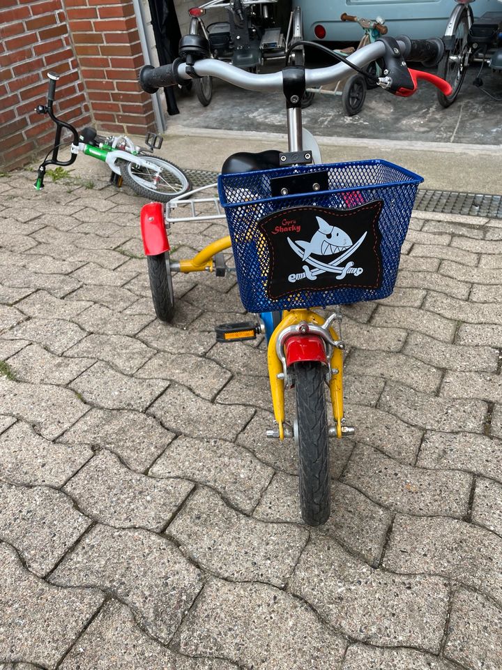 Vanraam Husky - Kinderdreirad/ Kinderfahrrad in Jork