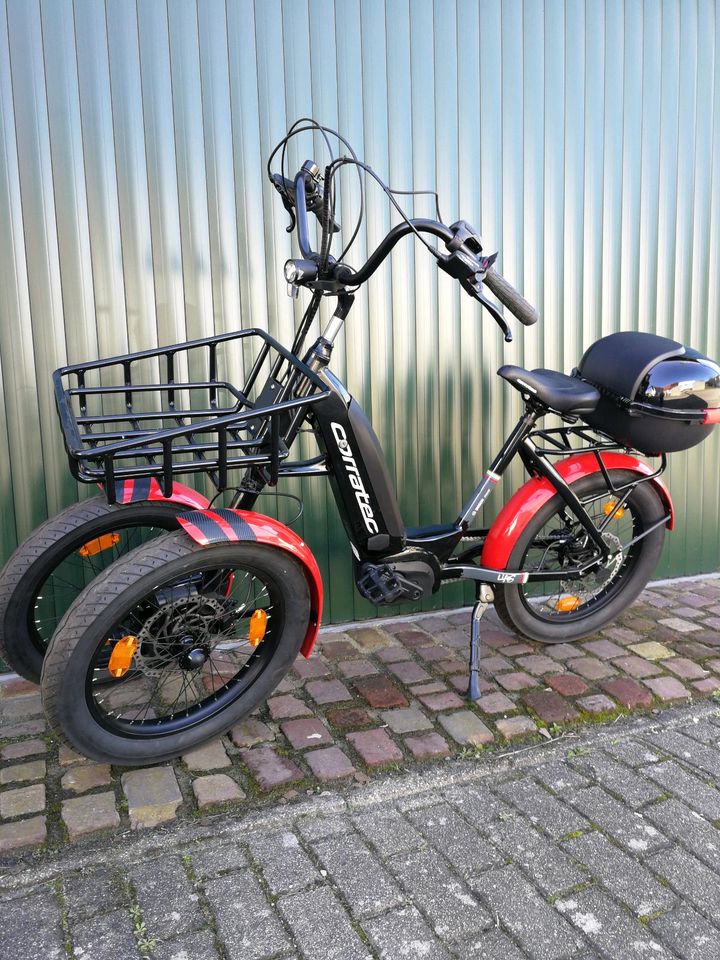 E-bike (Pedelec) in Willstätt