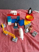 Lego Duplo Polar Station mit Rutsche Pinguin und Eisbär Pankow - Prenzlauer Berg Vorschau