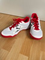 Puma Solarflash Hallenschuhe Sportschuhe Gr. 41 Bayern - Schlüsselfeld Vorschau