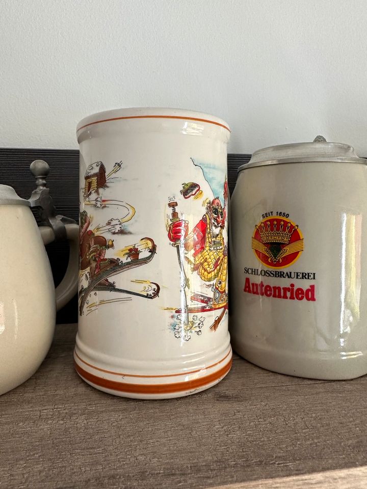 Bierkrüge Sammlung in Bergheim