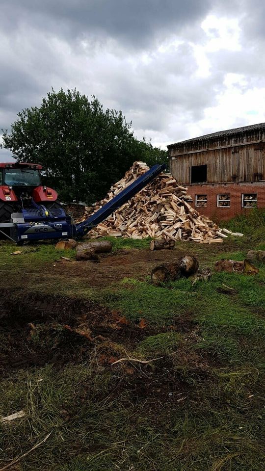 Lohnspalten mit Sägespaltautomat Brennholz Stammholz 400/480/500 in Edewecht