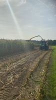 Maisballen, Rundballen, Mais Silomais Wickelsilage, Pferde,Schafe Niedersachsen - Bad Iburg Vorschau