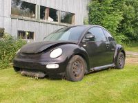 New Beetle zum schlachten und Basteln Dithmarschen - Schalkholz Vorschau