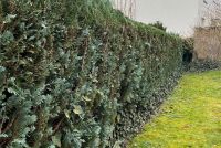 Gartenpflege Grundstückspflege Landschaftspflege Heckenschnitt Hessen - Fulda Vorschau