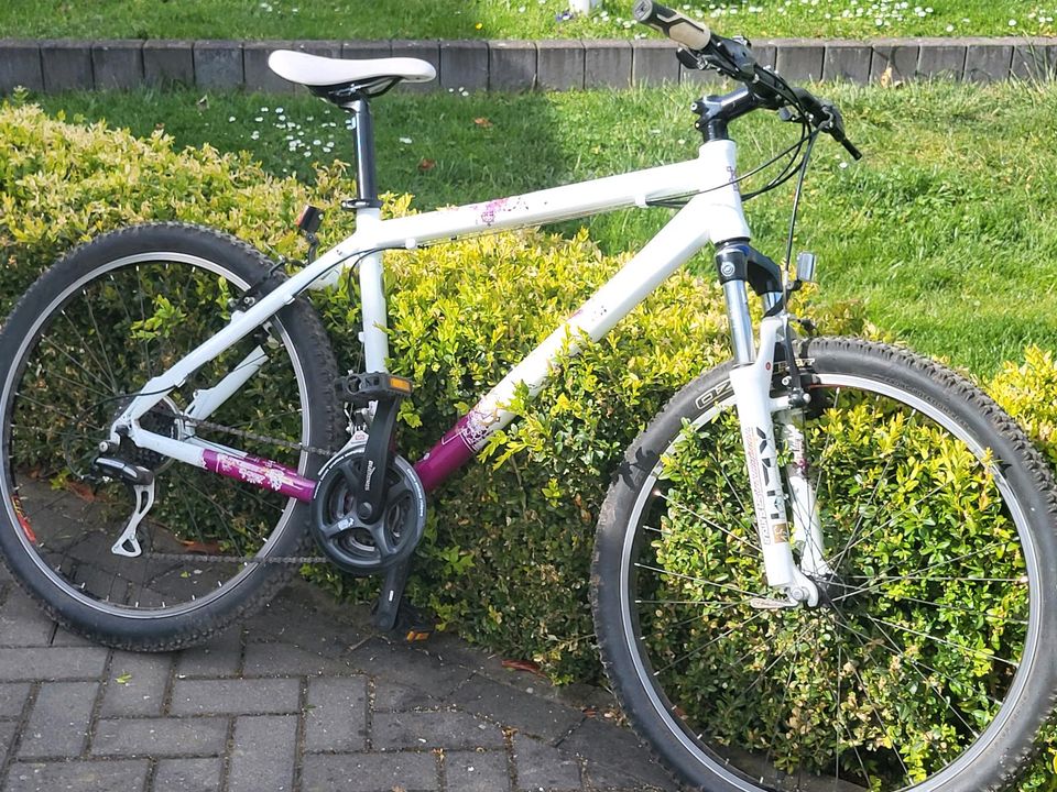 Scott Damen Mountainbike in Mücheln (Geiseltal)