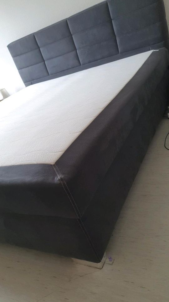 Mannheim: Boxspringbett 180x200, dunkelgrau, neuwertig in Lampertheim