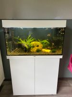 Juwel Aquarium 125L. Komplett Niedersachsen - Lingen (Ems) Vorschau