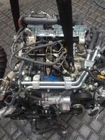Toyota Land Cruiser J15 Motor 150 Engine 2.8 D4D Mecklenburg-Vorpommern - Seebad Ahlbeck Vorschau