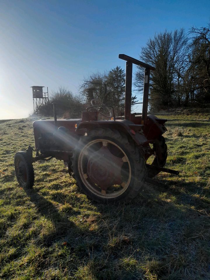 IHC MC Cormick DED 3 , Oldtimer Schlepper in Trautskirchen