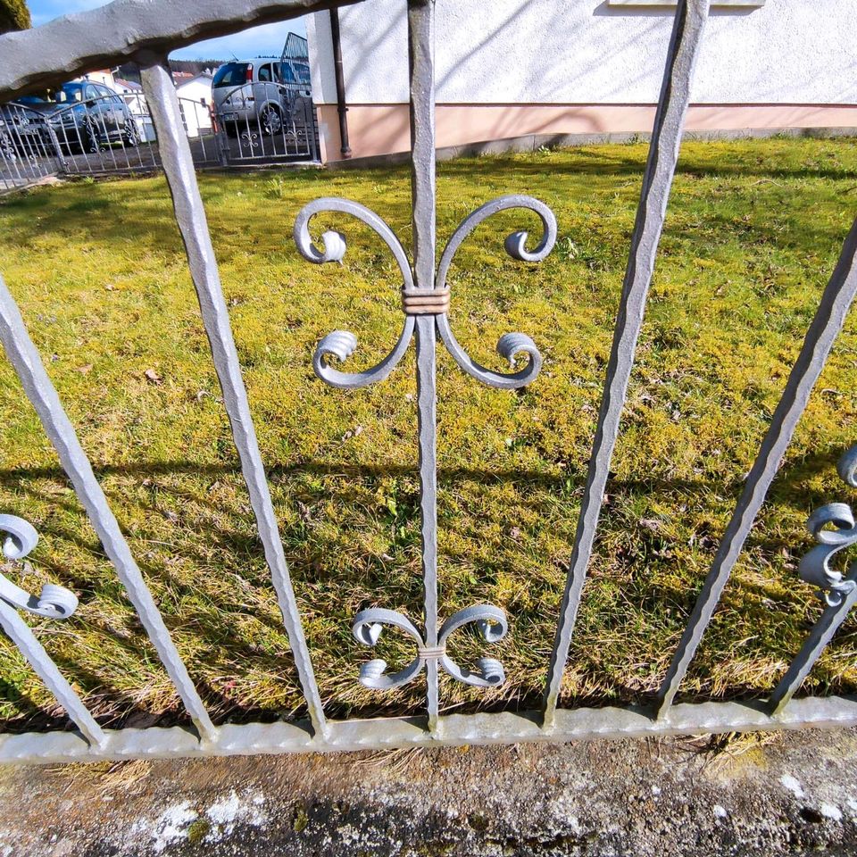 43,2 m Gartenzaun + 2 Türen aus Metall in Maselheim