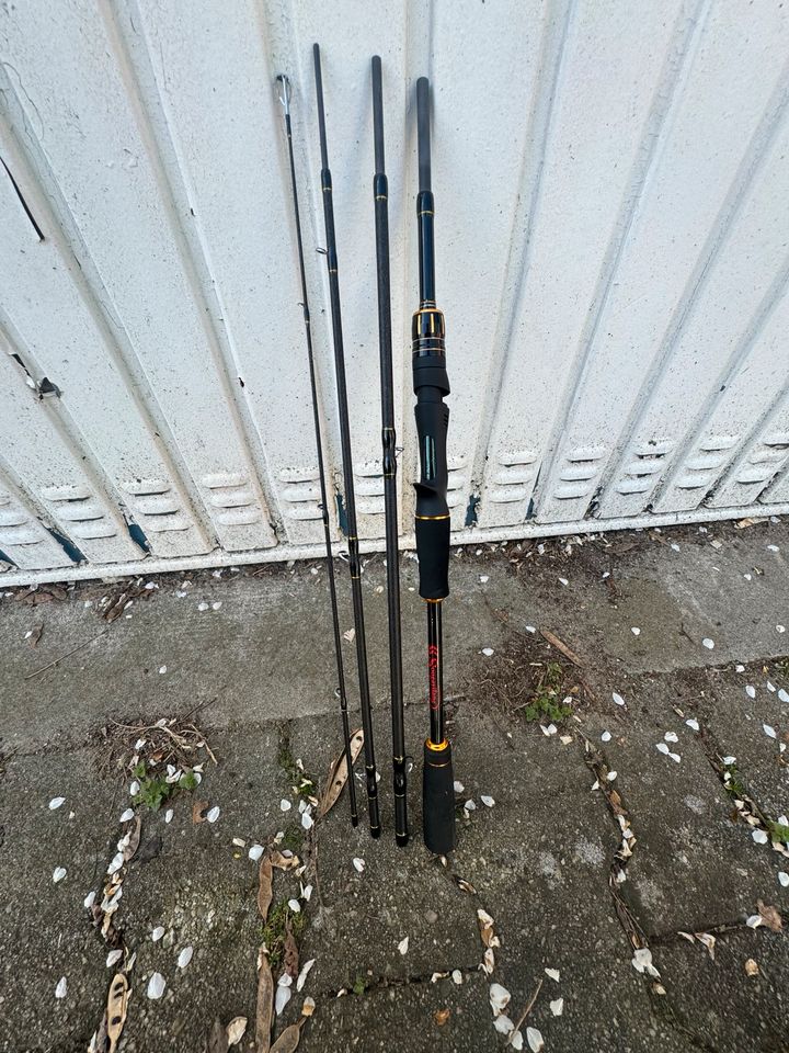 Raubfischruten Baitcast foxrage spro daiwa Westin  Zeck noname in Meppen