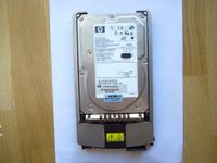 Festplatte HP 300-GB U320 SCSI HP 10K  BD30088279 Hessen - Oberursel (Taunus) Vorschau