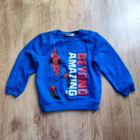 Kinderpullover Spiderman 110 Hannover - Ahlem-Badenstedt-Davenstedt Vorschau