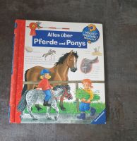 Alles über Pferde und Ponys Baden-Württemberg - Marbach am Neckar Vorschau