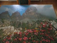 Puzzle 2000 Teile Alpenrosen in den Dolomiten Bayern - Lohr (Main) Vorschau