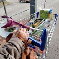 Einkaufshilfe/ Einkaufsservice für Menschen ab Pflegegrad 1 Dresden - Prohlis-Süd Vorschau