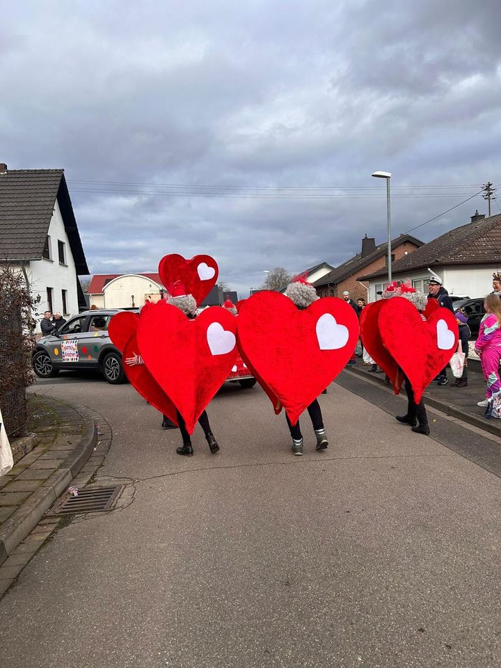 12  (+5) Herzen Gruppenkostüme Karneval Kostüm in Rheinbach