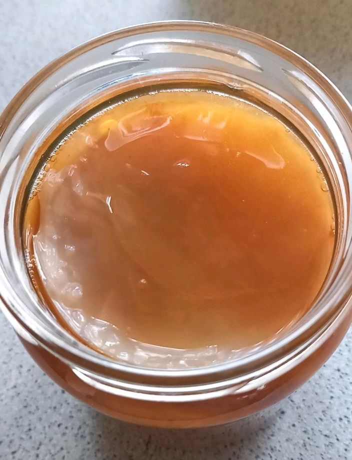 Kombucha Ansatz mit Scoby abzugeben, Bio in Herborn