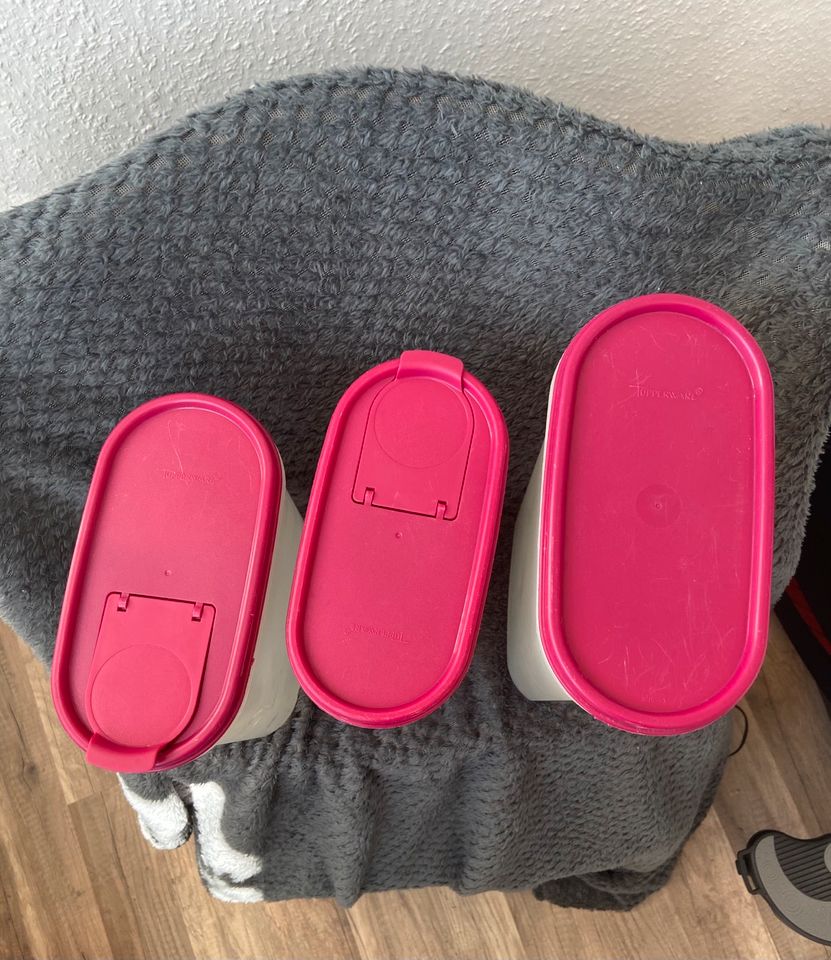 Tupperware Eidgenossen in Berlin