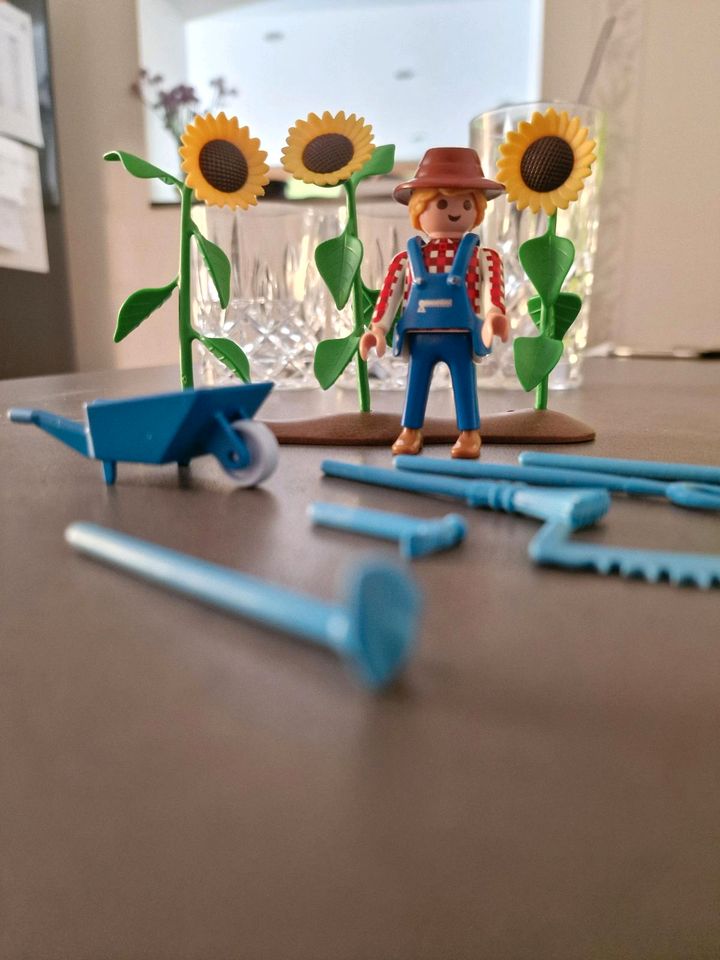Playmobil Sonnenblumen und Gärtner in Aach