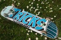 Skateboard   78cm Bayern - Gerolzhofen Vorschau