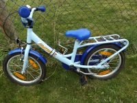 Fahrrad Kinderfahrrad 16 Zoll Falter hellblau Bär Flugzeug Hessen - Florstadt Vorschau