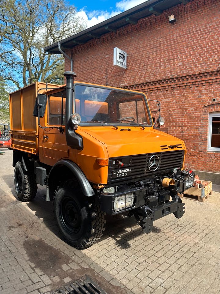 Unimog U1200 VollAgrar Heckkraftheber Zapfwelle Lesnik U424 in Büchen