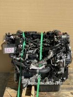 Motor 1.4 TDCi KVJA KUJA AV2Q FORD FIESTA MKVI 26TKM KOMPLETT Berlin - Wilmersdorf Vorschau