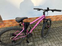 Fahrrad Damen Sachsen-Anhalt - Bitterfeld Vorschau