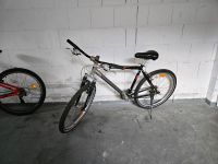 Fahrrad 26 zoll Hessen - Biebesheim Vorschau