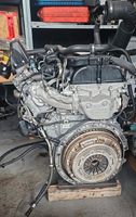 Reparatur Mercedes OM651 Rumpfmotor passend für Sprinter, C, E, S Baden-Württemberg - Uhingen Vorschau